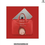 MacBook Bag Cartoon Design